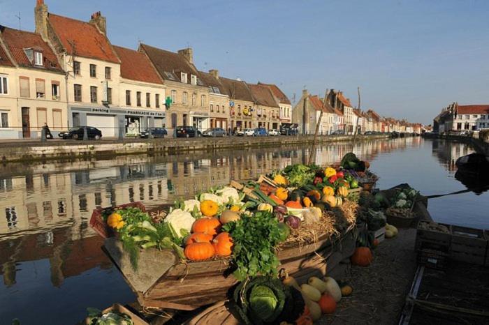 Bel Appart - Rez-De-Chaussee - Hyper Centre Saint-Omer (Pas-de-Calais) Exterior foto
